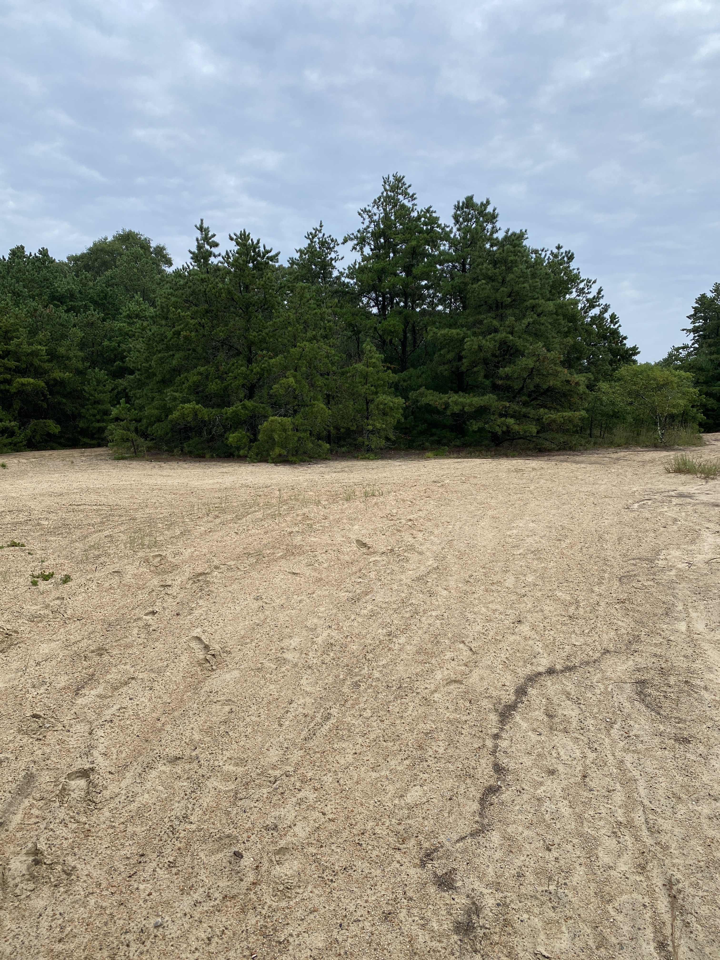 Big River Management Area – The RI Dessert – Rhode Island Hiking